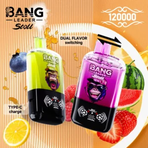 BANG Leader 120K Puffs