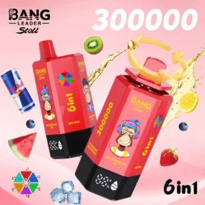 Alternative view of Bang Leader stoll 300K Puffs 6u1