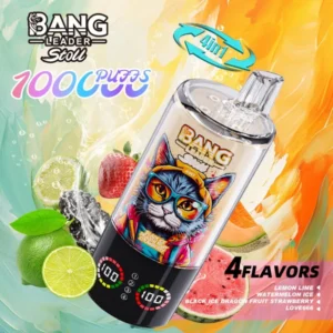 BANG Leader Stoll 100K Puffs 4u1