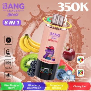 Alternative view of Bang Leader 350K Puffs 8U1