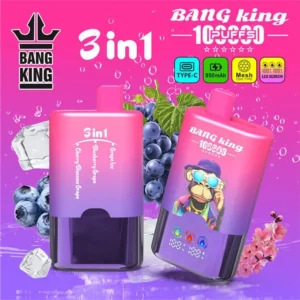 Bang King 100K Puffs 3U1
